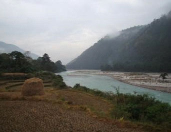 The rare White-bellied Heron, stunning White-capped Water-Redstart and other water-associated birds are found along the Himalayan rivers.